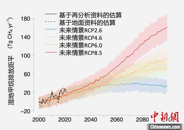 賭博：中美科研合作发现全球湿地甲烷排放加剧  或威胁全球减排目标